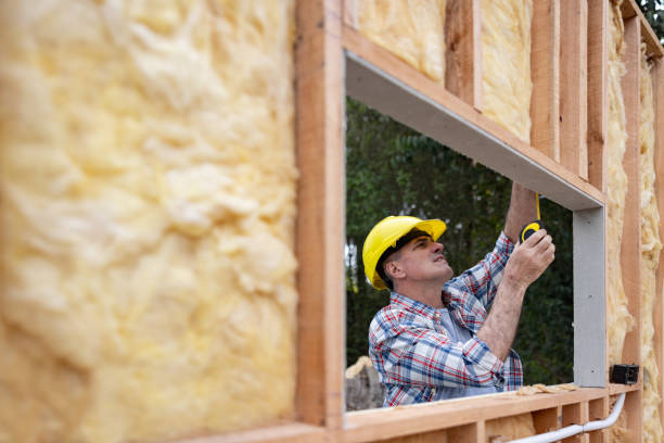 Insulation Air Sealing in Duncanville, TX